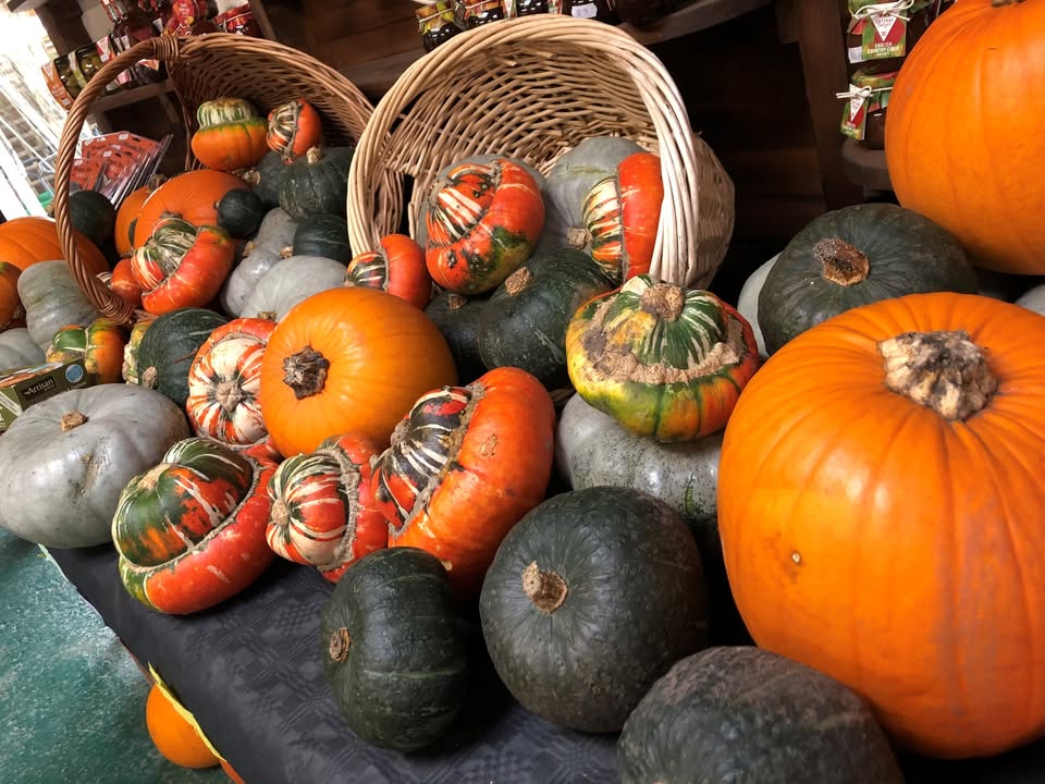 Lotmead Farm Picking Updates