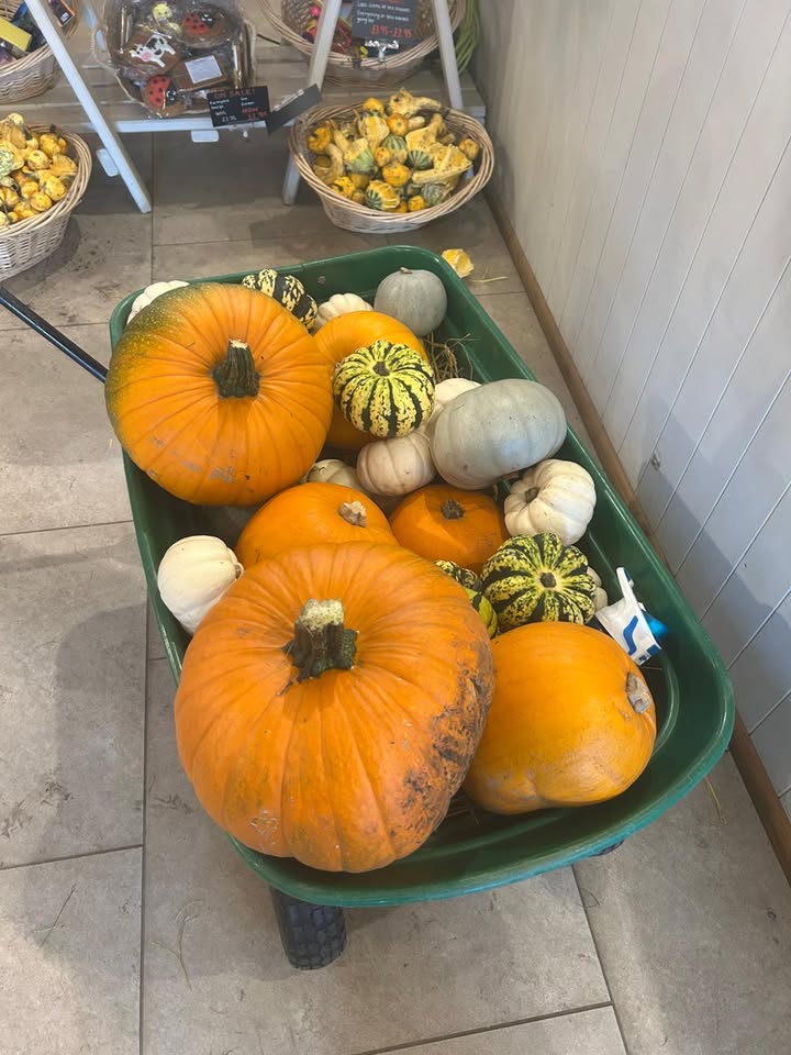 Lotmead Farm Picking Updates