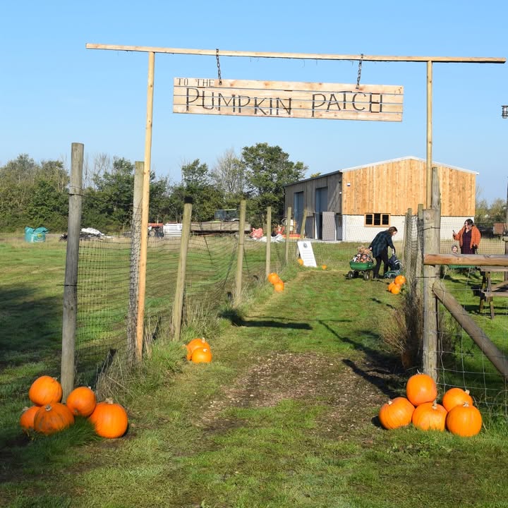 Lotmead Farm Picking Updates