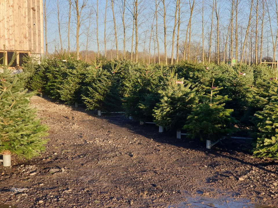 Lotmead Farm Picking Updates